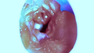 Go Gay Porn 1